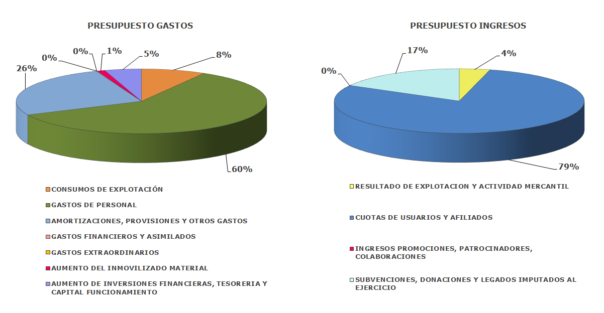 Gráficos presupuesto